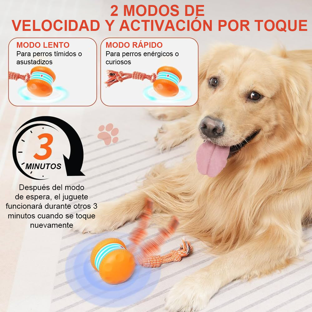 🐶 El FACHEENLSRORE™ – Mantén a tu mascota relajada, feliz y satisfecha 🐾