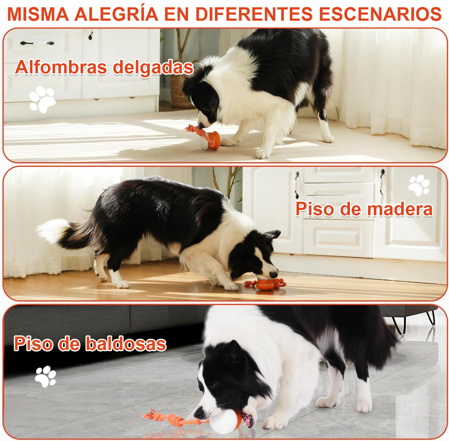 🐶 El FACHEENLSRORE™ – Mantén a tu mascota relajada, feliz y satisfecha 🐾