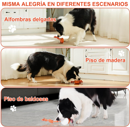 🐶 El FACHEENLSRORE™ – Mantén a tu mascota relajada, feliz y satisfecha 🐾