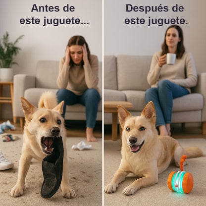 🐶 El FACHEENLSRORE™ – Mantén a tu mascota relajada, feliz y satisfecha 🐾