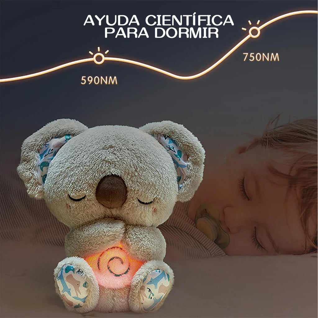 ❤️🐨Andie - El compañero tierno que te arrulla suavemente para dormir
