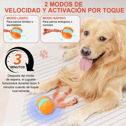 🐶 El FACHEENLSRORE™ – Mantén a tu mascota relajada, feliz y satisfecha 🐾