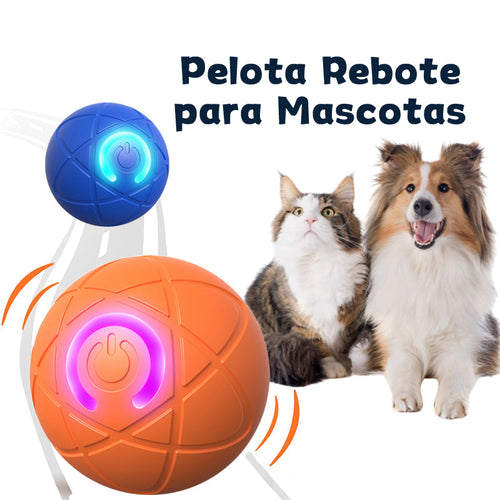 ✨Nuevo Lanzamiento 2025 - 50% de Descuento - Pelota Rebotadora para Gatos🐱 y Perros🐶