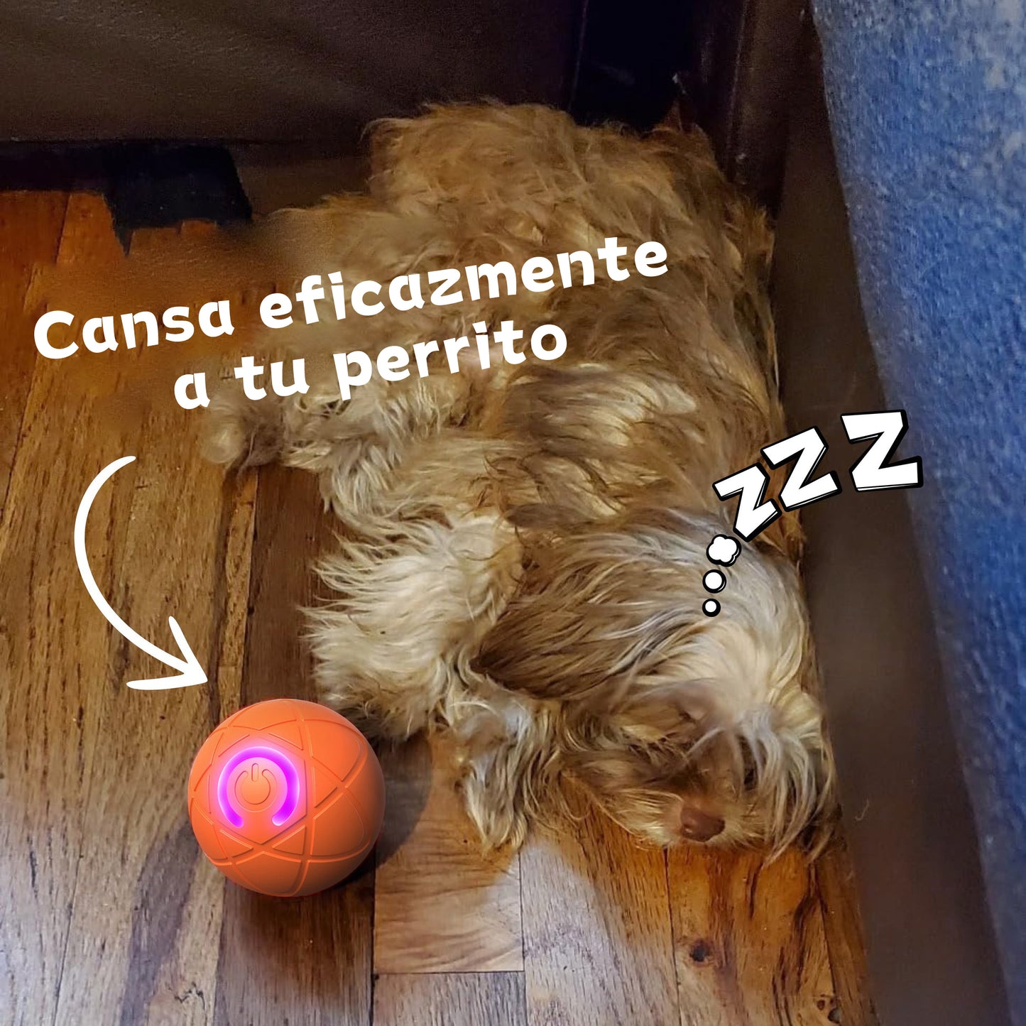 ✨Nuevo Lanzamiento 2025 - 50% de Descuento - Pelota Rebotadora para Gatos🐱 y Perros🐶