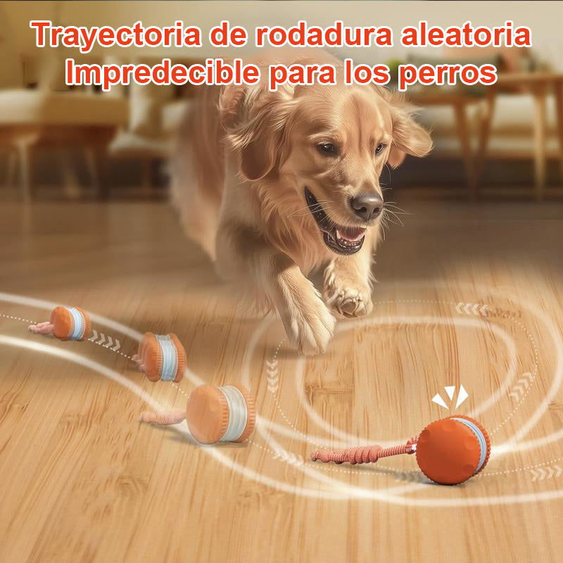 🐶 El FACHEENLSRORE™ – Mantén a tu mascota relajada, feliz y satisfecha 🐾