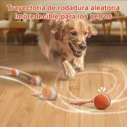 🐶 El FACHEENLSRORE™ – Mantén a tu mascota relajada, feliz y satisfecha 🐾