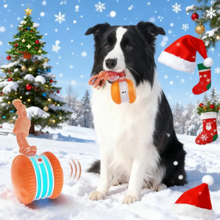 🐶 El FACHEENLSRORE™ – Mantén a tu mascota relajada, feliz y satisfecha 🐾